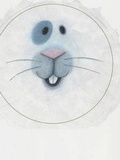 Cover: Bunny - Hodder Children's Books
