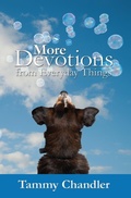 Cover: More Devotions from Everyday Things - WordCrafts Press