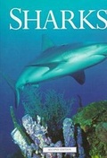 Cover: Sharks - Facts On File Inc