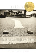 Cover: The Theory of Light and Matter - Cokesbury