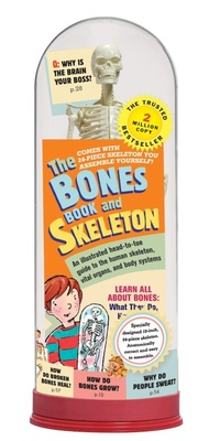 Enlarge image Cover: The Bones Book and Skeleton - Workman Children's