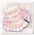 Cover: Broken Shell Magnet Calendar - Harvest House Publishers