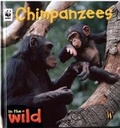 Cover: Chimpanzees - Hodder Children's Books