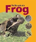 Cover: Frog - Hodder Wayland