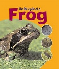 Enlarge image Cover: Frog - Hodder Wayland