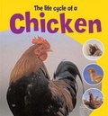 Cover: The Life Cycle of a Chicken - Hodder Wayland