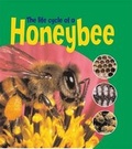 Cover: Honeybee - Hodder Wayland