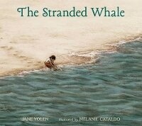 Enlarge image Cover: The Stranded Whale - Candlewick Press,U.S.