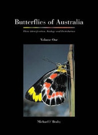Abbildung von: Butterflies of Australia - CSIRO Publishing
