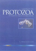 Cover: Guide to Protozoa of Marine Aquaculture Ponds - CSIRO Publishing