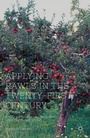 Cover: Applying Rawls in the Twenty-First Century - Palgrave MacMillan
