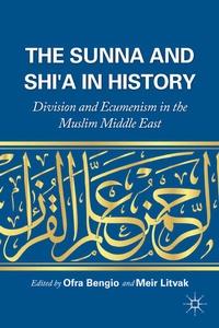 Abbildung von: The Sunna and Shi'a in History - Palgrave MacMillan