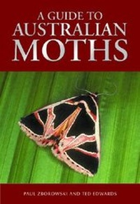 Enlarge image Cover: A Guide to Australian Moths - CSIRO Publishing