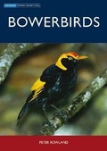 Cover: Bowerbirds - CSIRO Publishing