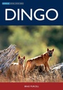Cover: Dingo - CSIRO Publishing