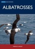 Cover: Albatrosses - CSIRO PUBLISHING