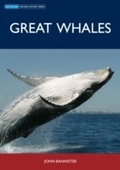 Cover: Great Whales - CSIRO PUBLISHING