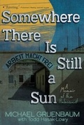 Cover: Somewhere There Is Still a Sun - Aladdin