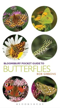 Enlarge image Cover: Pocket Guide to Butterflies - Bloomsbury Natural History