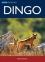 Cover: Dingo - CSIRO PUBLISHING