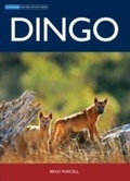 Cover: Dingo - CSIRO PUBLISHING