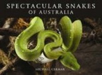 Abbildung von: Spectacular Snakes of Australia - CSIRO PUBLISHING