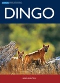 Cover: Dingo - CSIRO PUBLISHING
