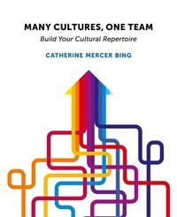 Abbildung von: Many Cultures, One Team - Technics Publications LLC
