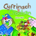 Cover: Cyfres Wenfro: Cyfrinach y Crochan - Gomer Press