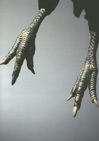 Enlarge image Cover: Graphis Photography 2007 - Graphis US Inc