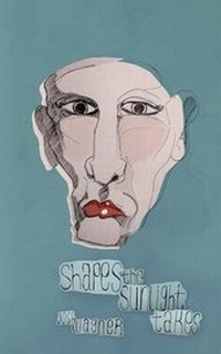 Enlarge image Cover: Shapes the Sunlight Takes - Asymmetrical Press