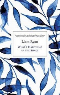 Enlarge image Cover: What'S Happening in the Shade - Liberties Press Ltd