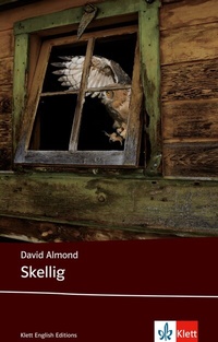 Abbildung von: Skellig - Klett