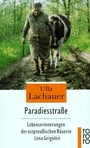 Cover: Paradiesstraße - Rowohlt Taschenbuch