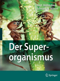 Abbildung von: Der Superorganismus - Springer Spektrum