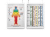 Abbildung von: AMM & TCM Lehrtafel Psychologie und Emotionen - AMM & TCM