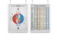 Abbildung von: AMM & TCM Lehrtafel Yang & Yin - AMM & TCM