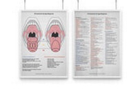 Abbildung von: AMM & TCM Lehrtafel Zunge - AMM & TCM