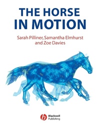 Abbildung von: The Horse in Motion - Wiley