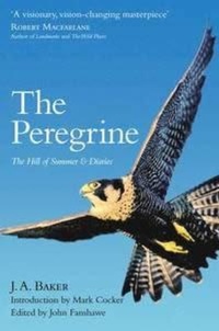 Enlarge image Cover: The Peregrine - William Collins