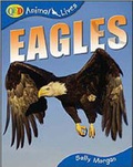 Cover: Eagles - QED Publishing