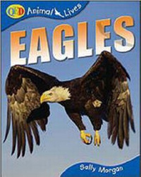 Enlarge image Cover: Eagles - QED Publishing