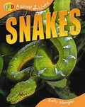 Cover: Snakes - QED Publishing