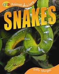 Enlarge image Cover: Snakes - QED Publishing