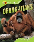 Cover: Orang-utans - QED Publishing