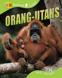 Enlarge image Cover: Orang-utans - QED Publishing