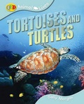 Cover: Tortoises and Turtles - QED Publishing