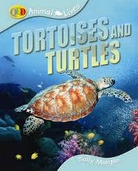 Enlarge image Cover: Tortoises and Turtles - QED Publishing
