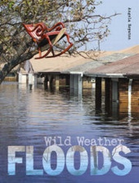 Enlarge image Cover: Floods - QED Publishing
