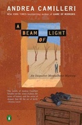Cover: A Beam of Light - Penguin USA